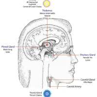 The 3rd Eye Hypothesis